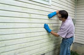 Affordable Siding Repair and Maintenance Services in Wheatland, WY